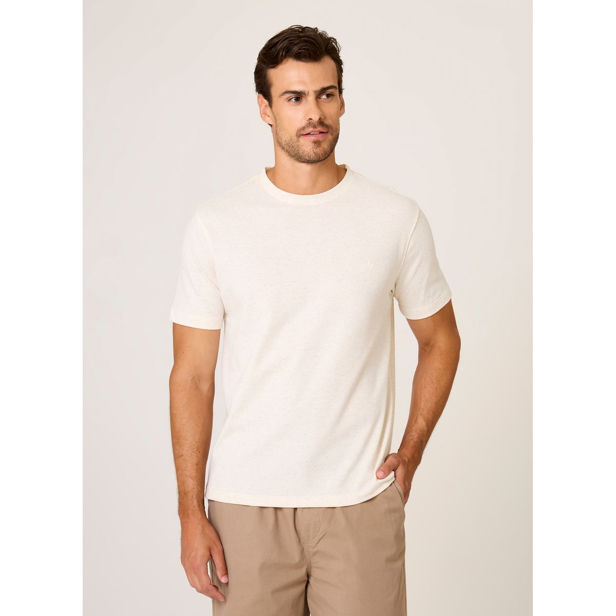 Camiseta Malha Linho Favo Masculina Dudalina